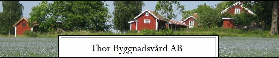 Thor Byggnadsvård AB Logotyp